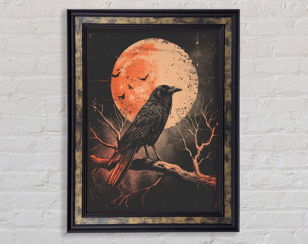 Night Crow Framed Print