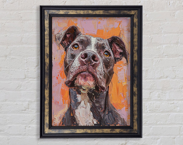 Oil Painting Pitbull Framed Print