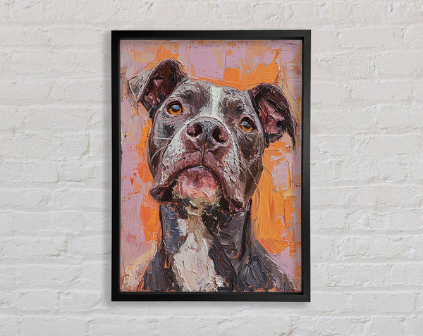 Oil Painting Pitbull Framed Print