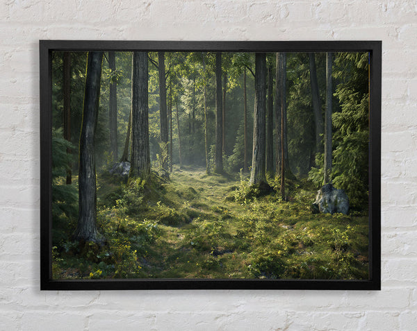 Old Forest Greenery Framed Print