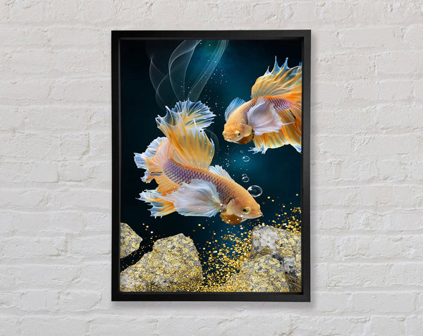 Orange Swimming Fish