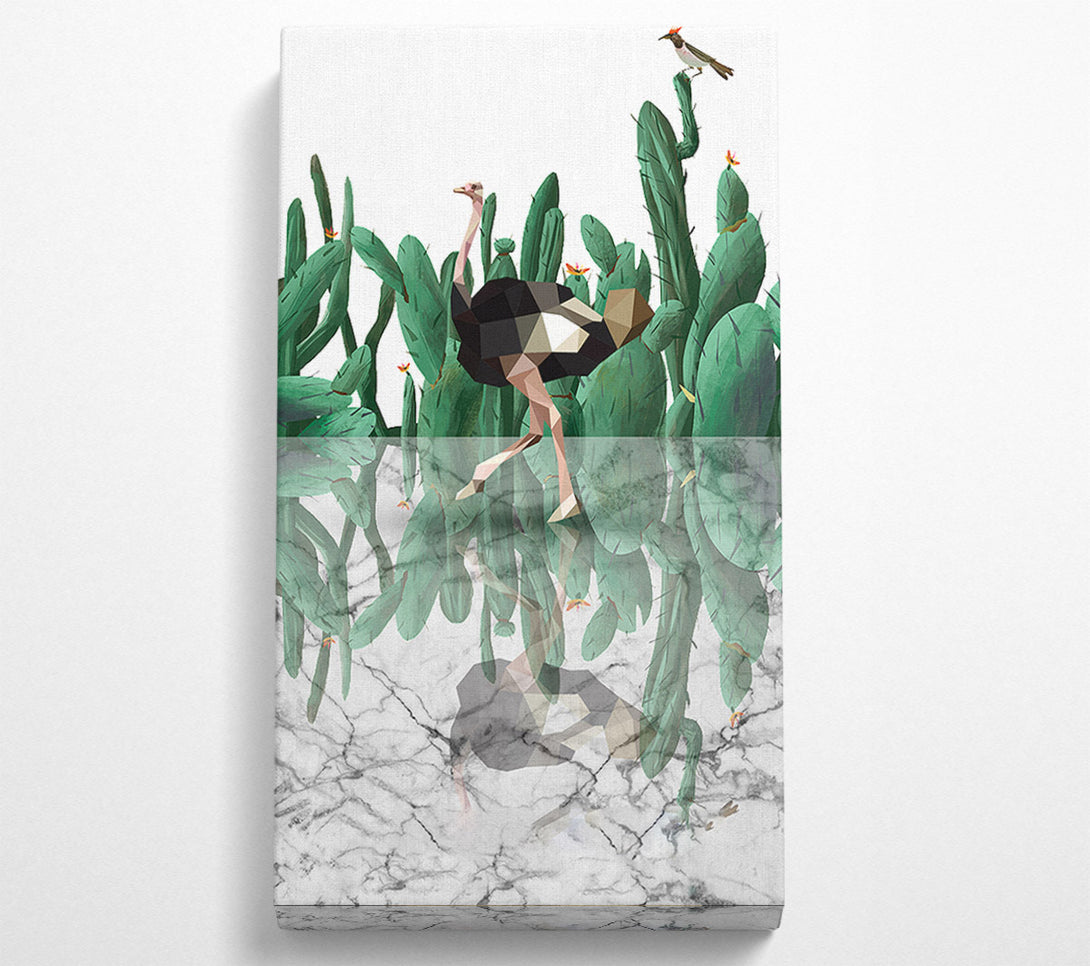  A Canvas Print of Ostridge Cactus Canvas Art