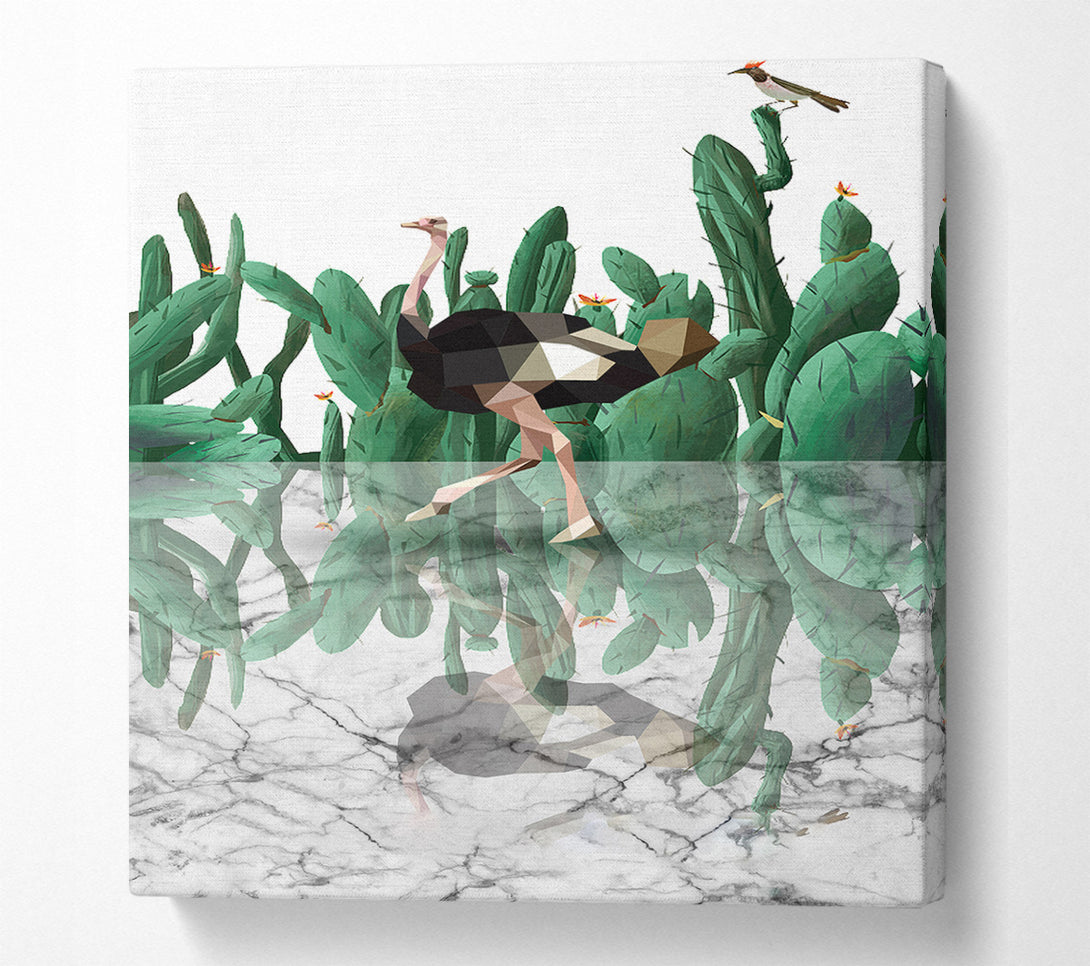  A Canvas Print of Ostridge Cactus Canvas Art