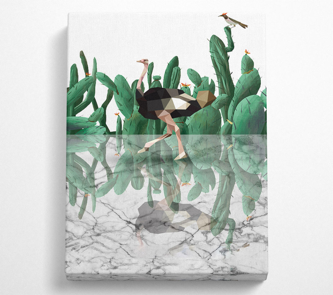 A Canvas Print of Ostridge Cactus Canvas Art