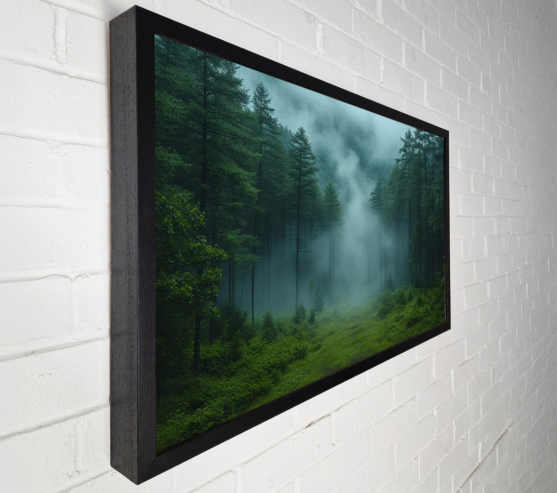  A Canvas Print of Pinewoods Mist Canvas Art