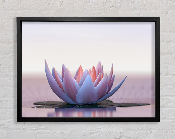 Pink Lotus Framed Print