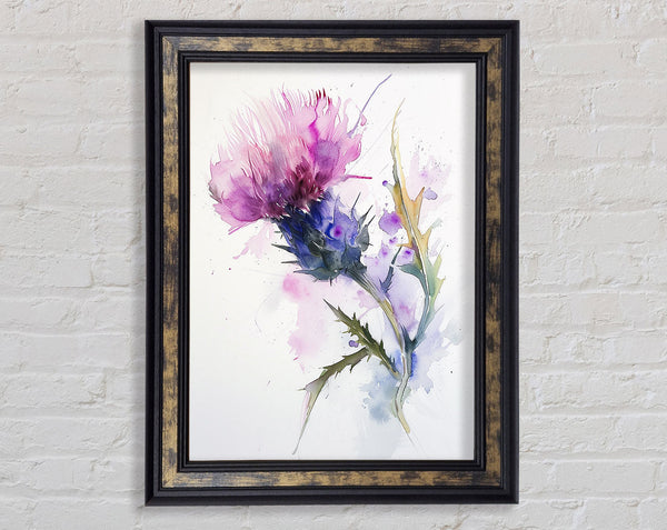 Pink Thistle Framed Print
