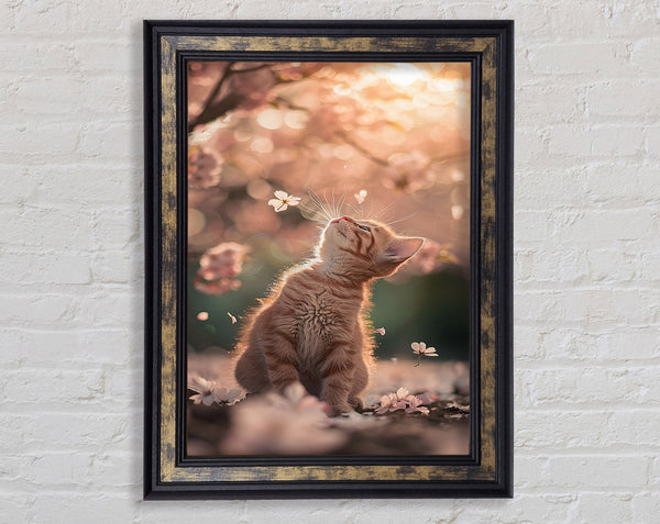 Playful Kitten Framed Print