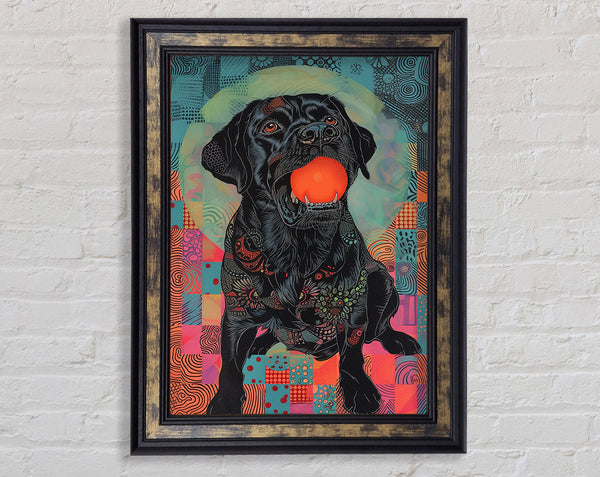 Playful Labrador Framed Print