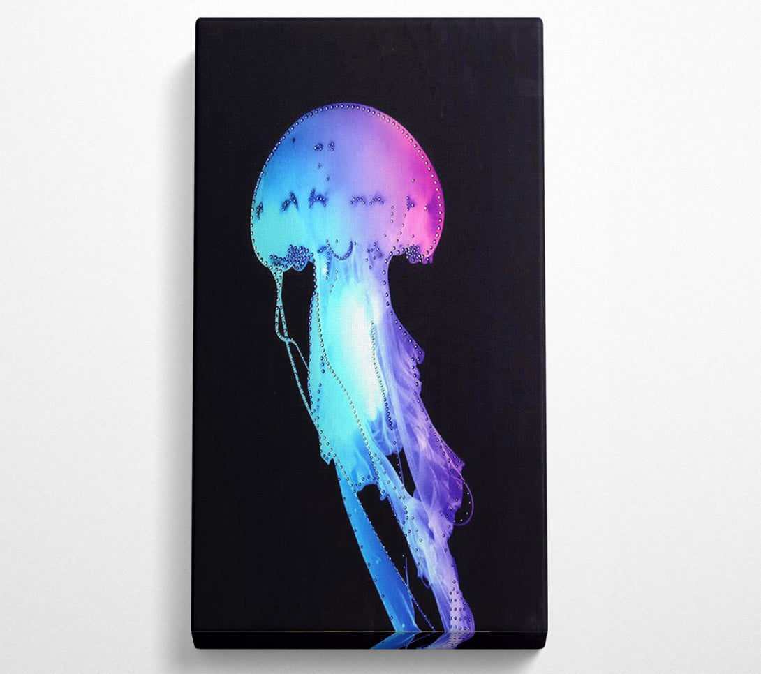  A Canvas Print of Rainbow Jellyfish Canvas Wall Art