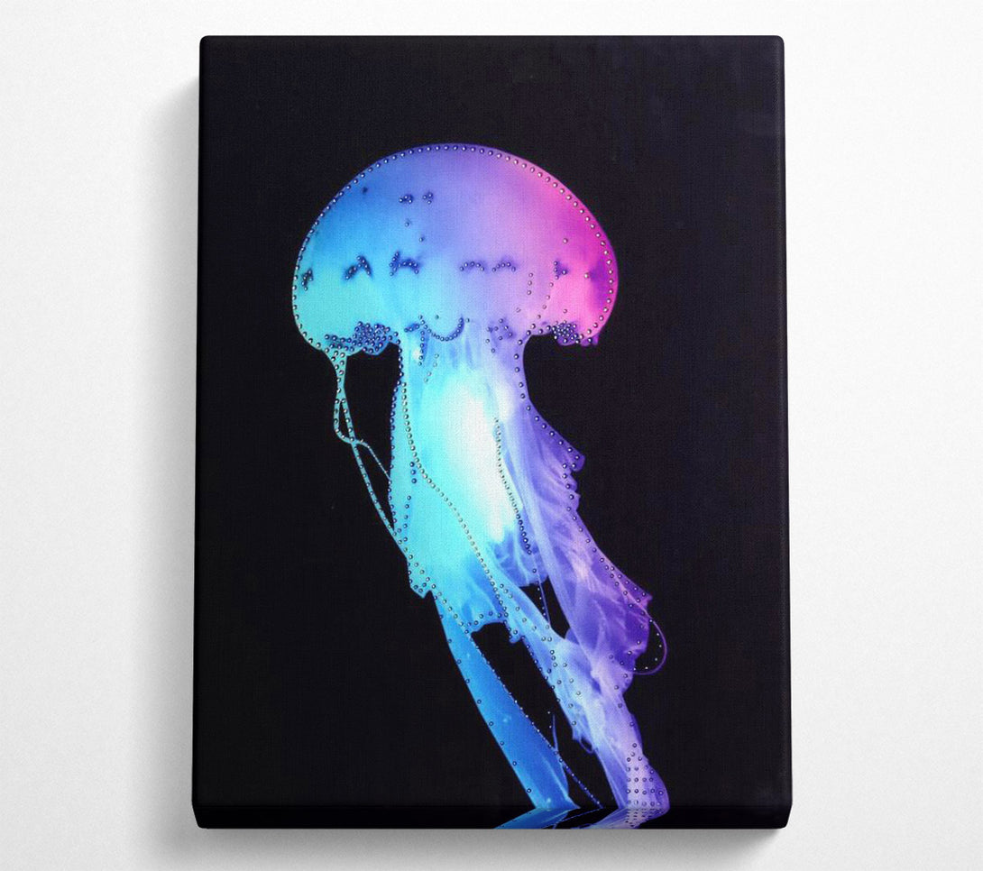  A Canvas Print of Rainbow Jellyfish Canvas Wall Art