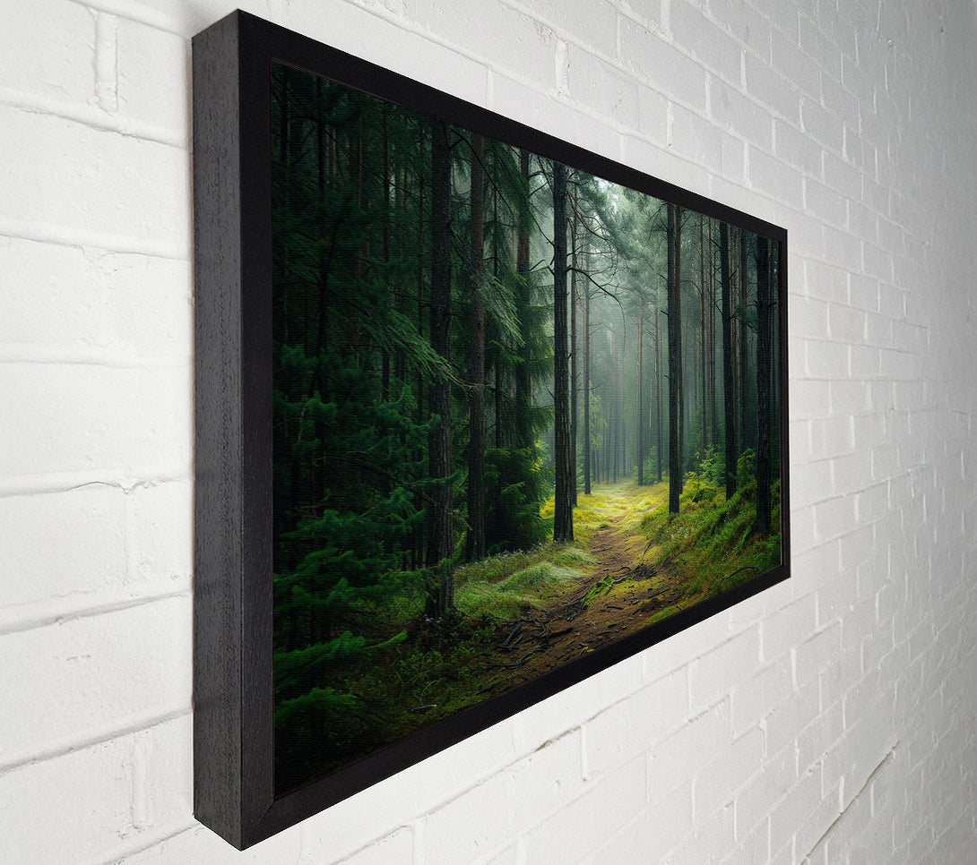  A Canvas Print of Road Woodland Walk Canvas Art