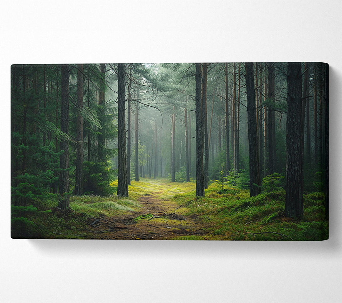 A Canvas Print of Road Woodland Walk Canvas Art