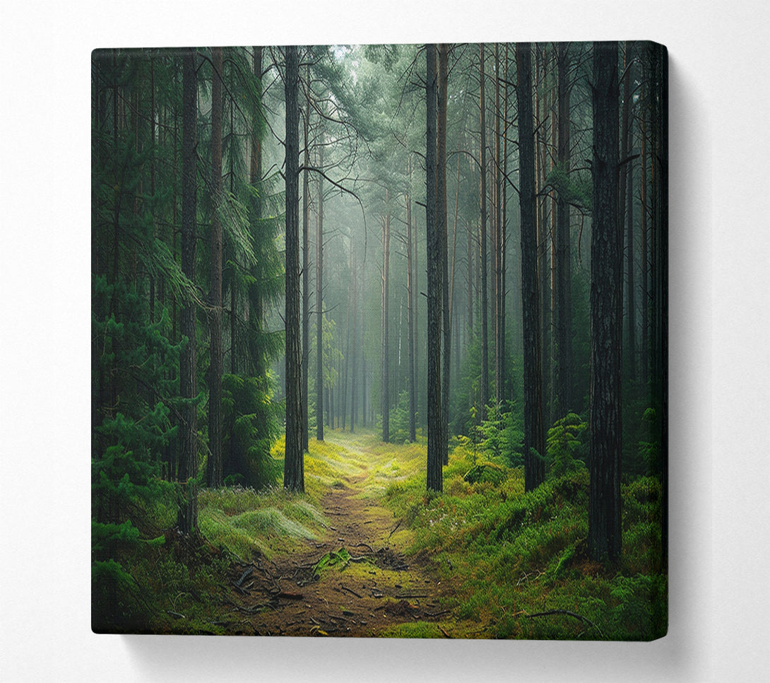  A Canvas Print of Road Woodland Walk Canvas Art