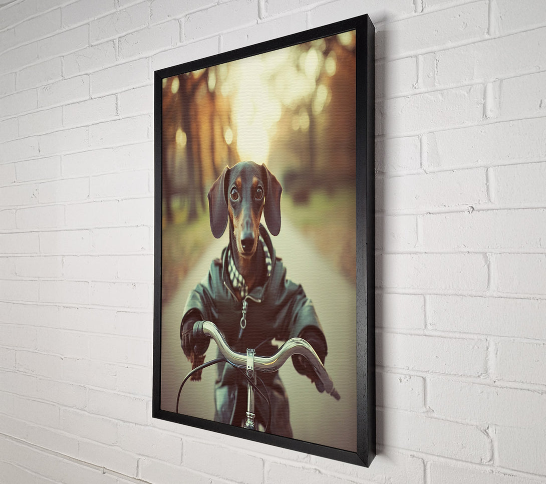  A Canvas Print of Sausage Dog Riding Bike Canvas Art