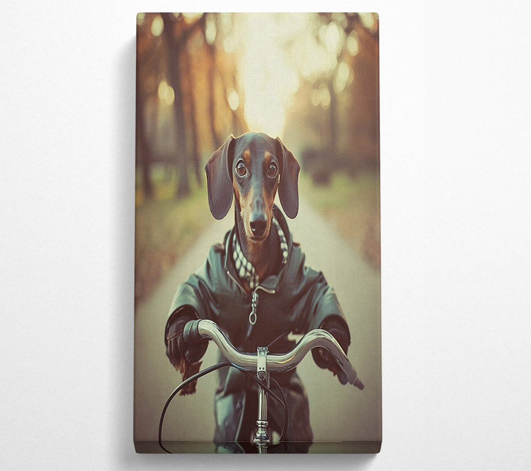  A Canvas Print of Sausage Dog Riding Bike Canvas Art