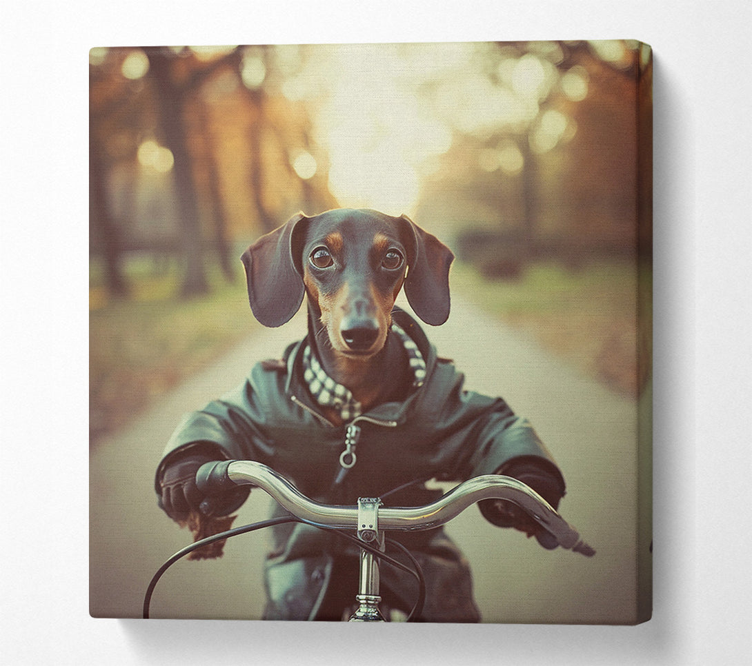  A Canvas Print of Sausage Dog Riding Bike Canvas Art