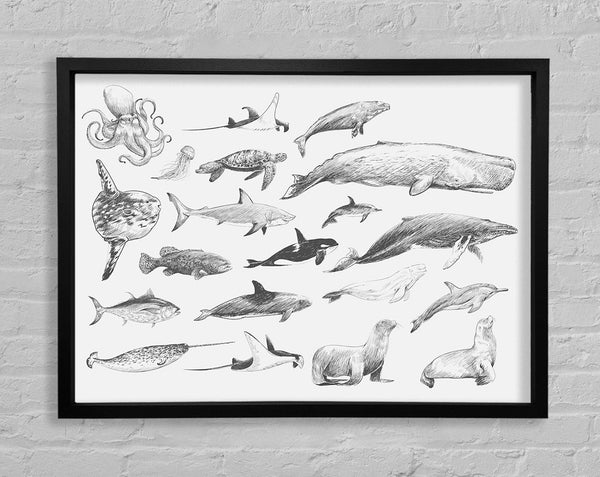 Sea Creatures Framed Print