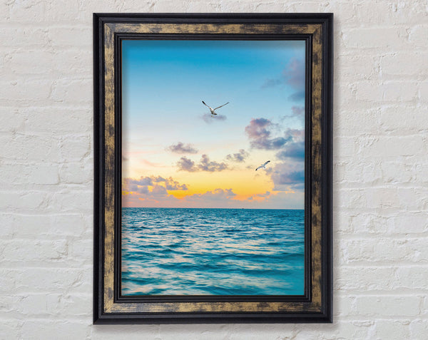 Seagull Flight Framed Print