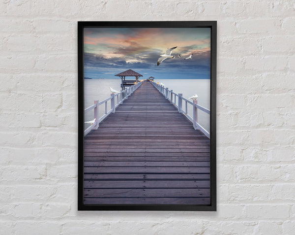 Seagulls  Board Walk Framed Print