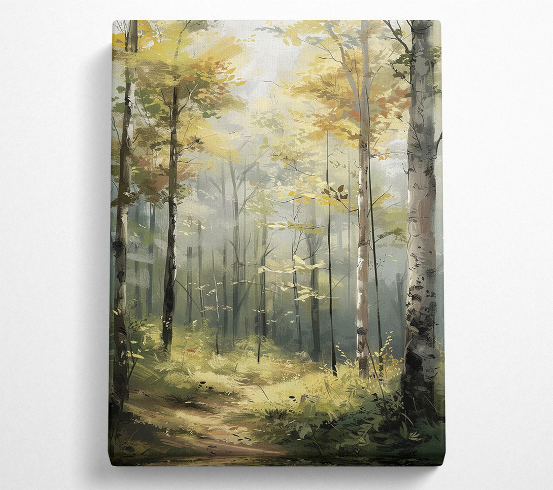  A Canvas Print of Serenity Woodland Canvas Art