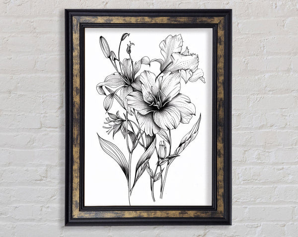 Sketch Flower Framed Print