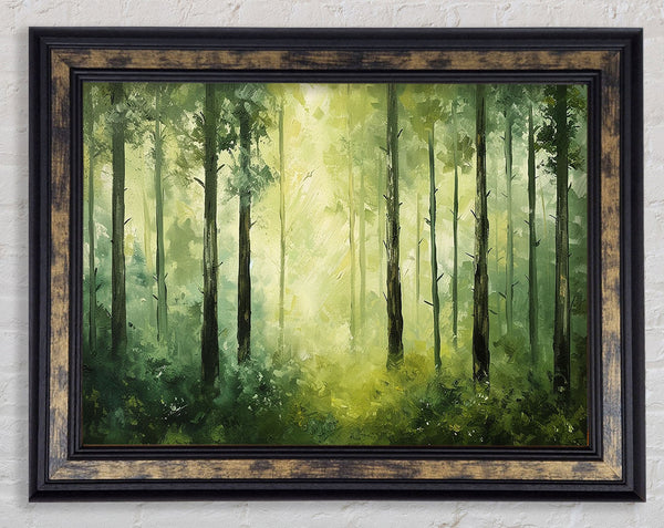 Slender Trees Framed Print