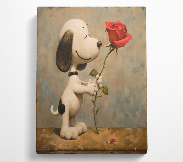 Snoopy Rose