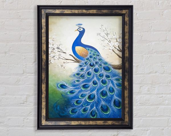 Stunning Peacock Framed Print