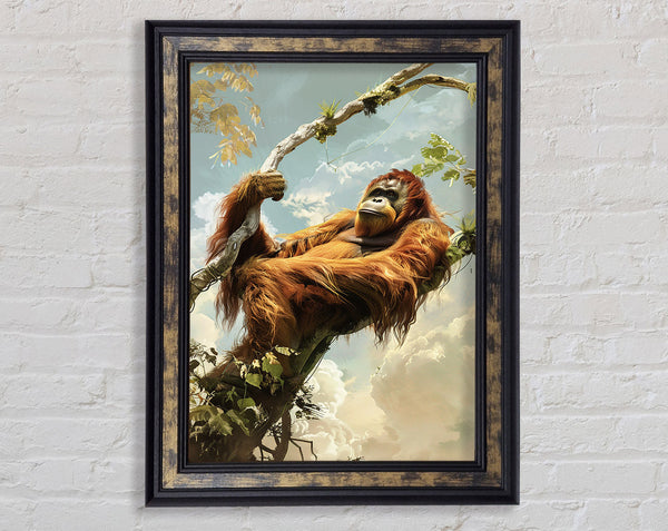 Sumatran Orangutan On A Branch Framed Print