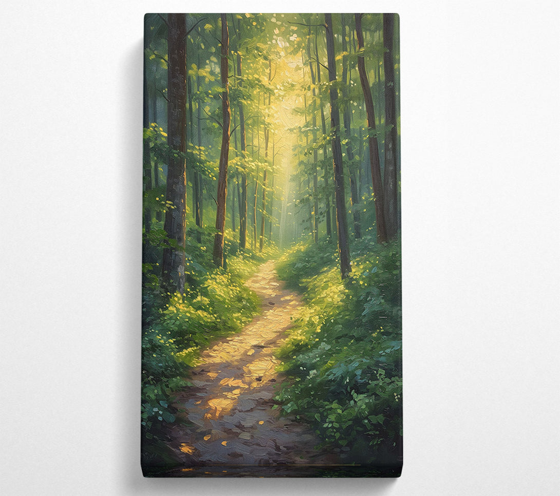  A Canvas Print of Sun Peeping Through The Forest Canvas Print
