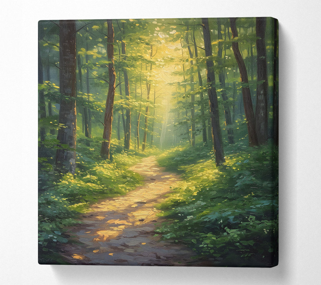  A Canvas Print of Sun Peeping Through The Forest Canvas Print