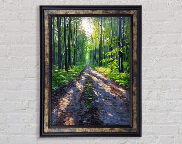 Sun Trail Framed Print