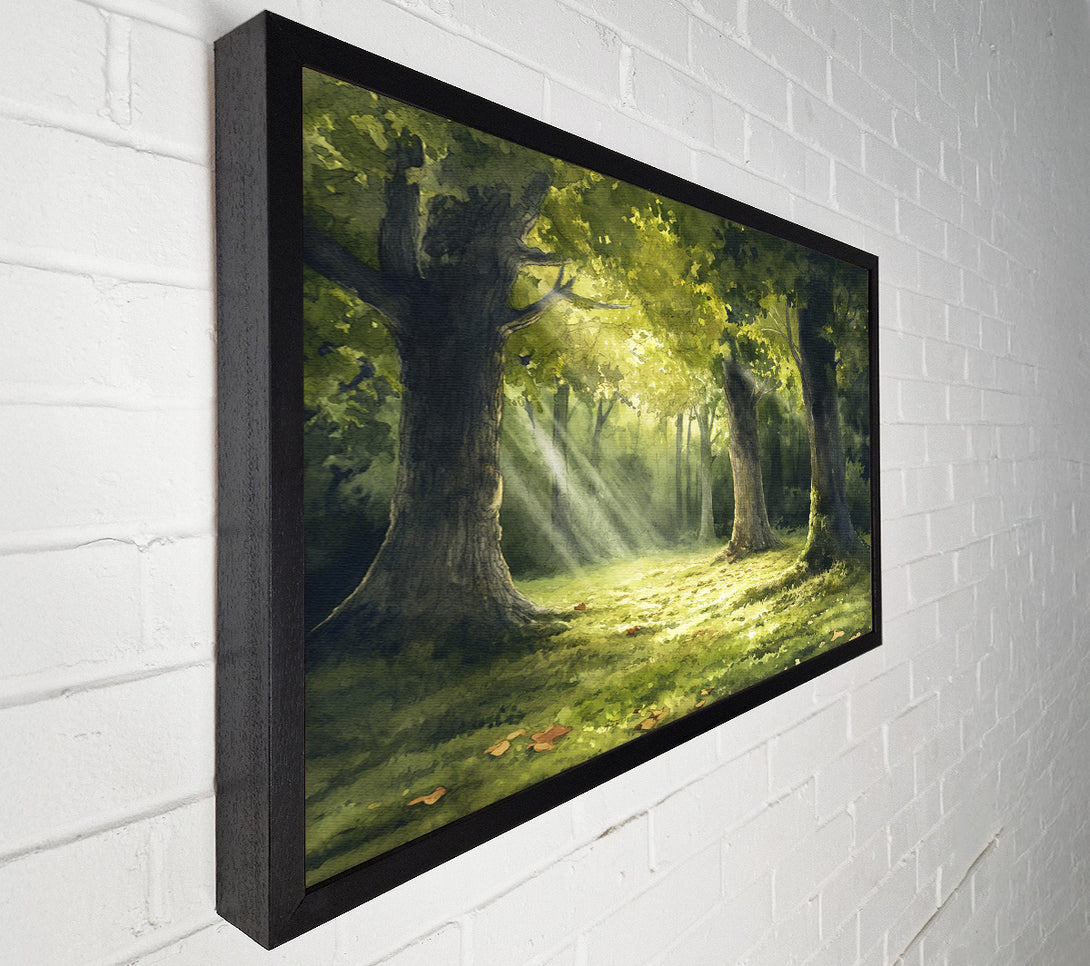  A Canvas Print of Sunlight Through The Trees Canvas Print