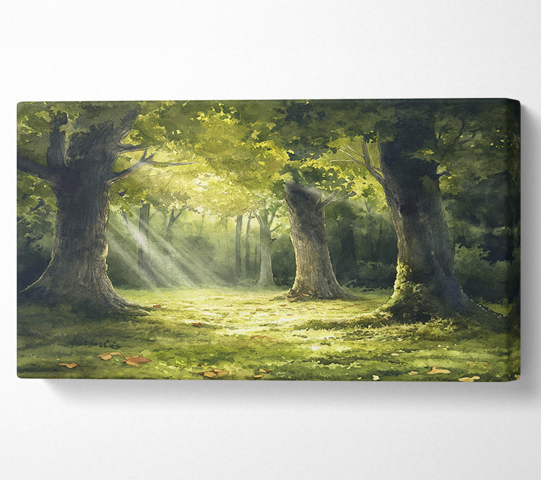  A Canvas Print of Sunlight Through The Trees Canvas Print