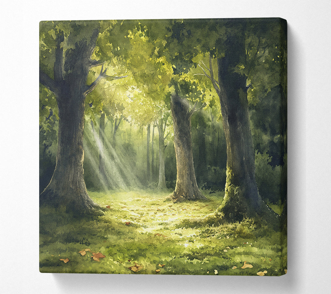  A Canvas Print of Sunlight Through The Trees Canvas Print