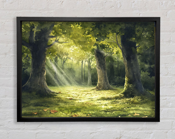 Sunlight Through The Trees Framed Print