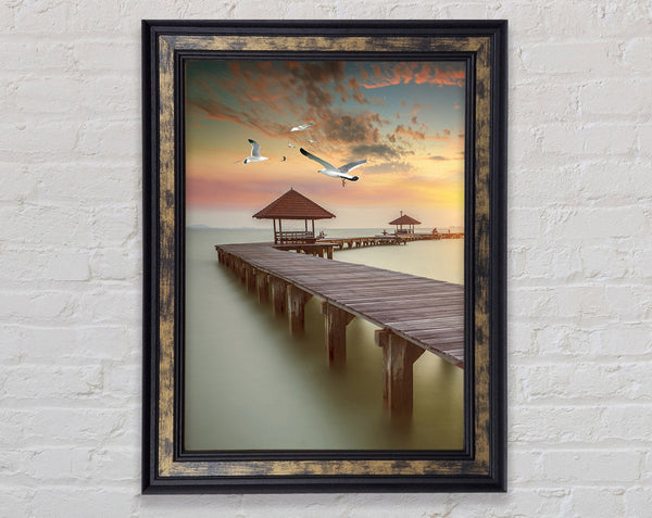 Sunset Walkway And Seagulls Framed Print