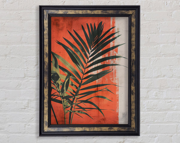 Sunshine Plant On Red Framed Print