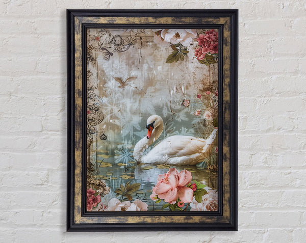 Swan Beauty Framed Print