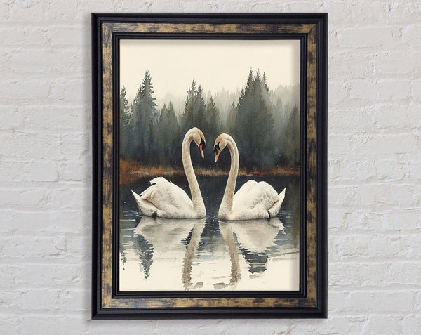 Swan Family Framed Print