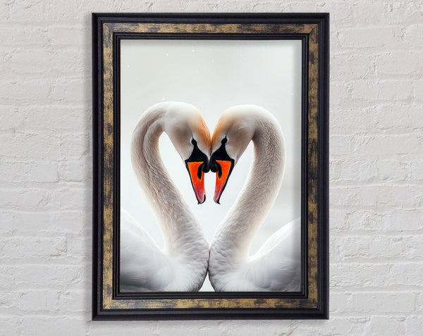 Swan Love Heart Framed Print