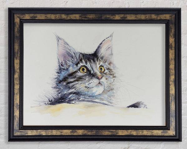 Tabby Long Hair Framed Print