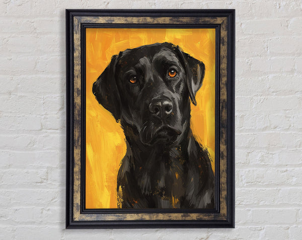 The Walnut Labrador Stare Framed Print