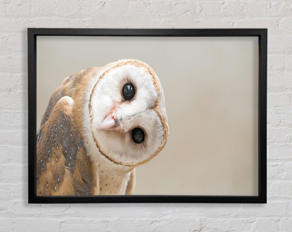 The Owl Turn Framed Print