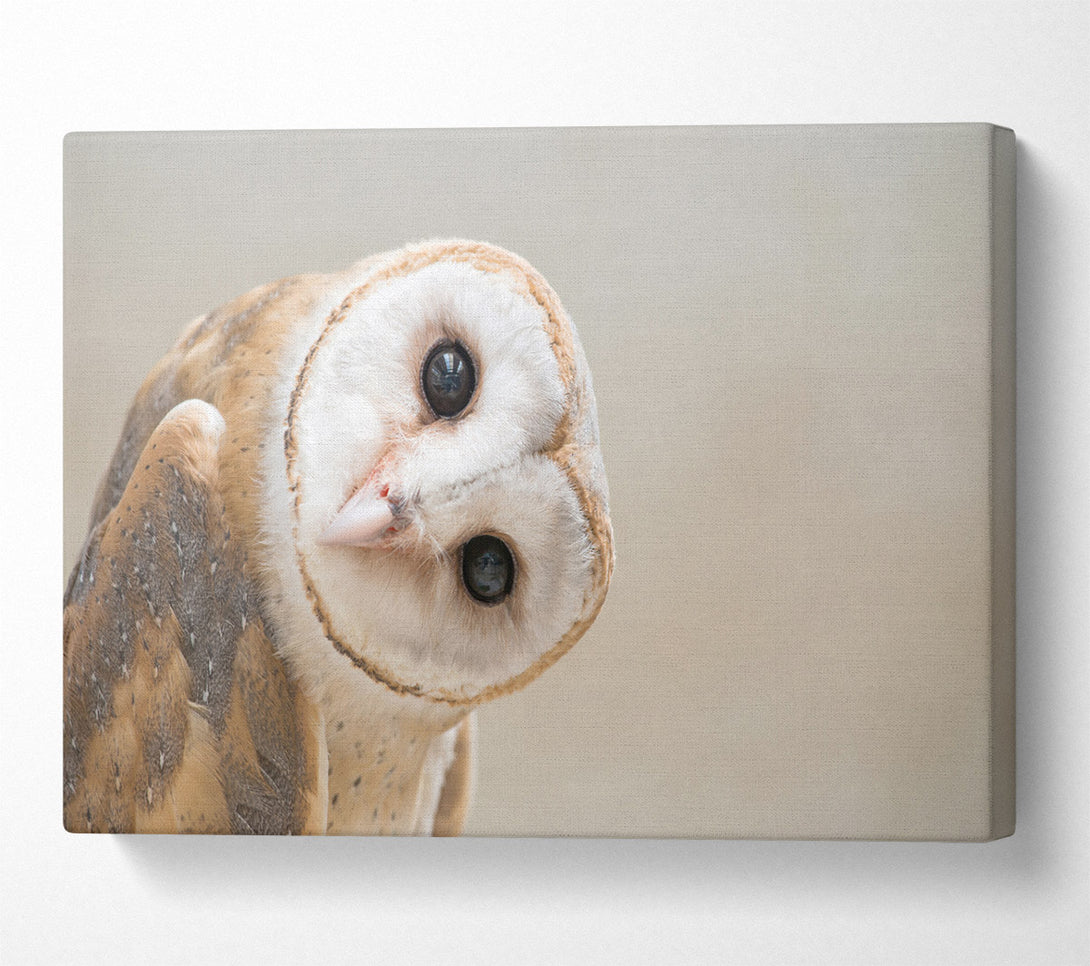  A Canvas Print of The Owl Turn Canvas Wall Art