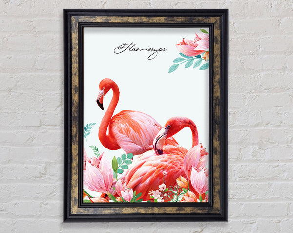The Two Flamingos Framed Print