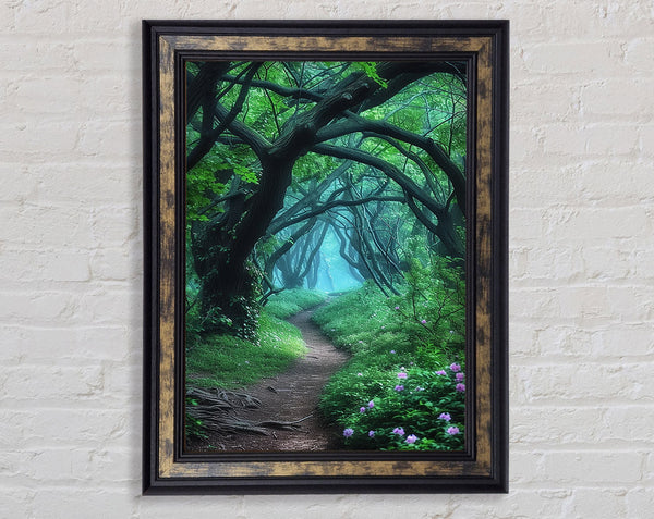 Thick Trees In The Forest Framed Print