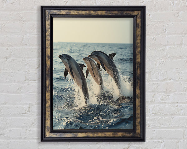 Three Dolphins Framed Print
