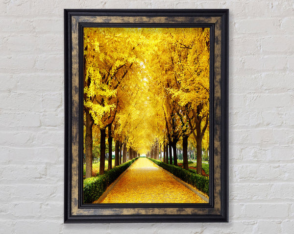 Tree Tunnel Framed Print